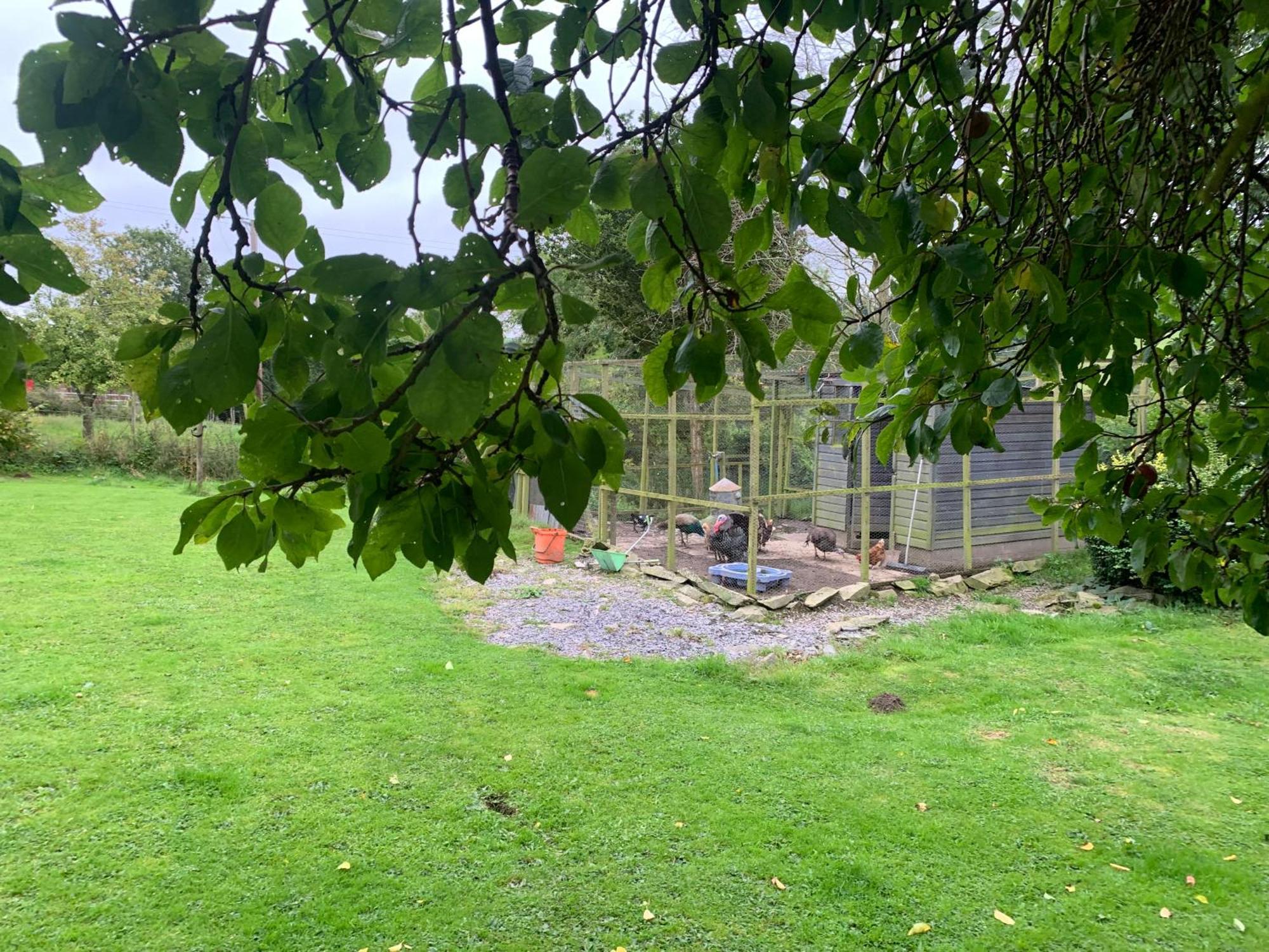 Stunning 2-Bed Cabin in Nantglyn Denbigh Exterior foto