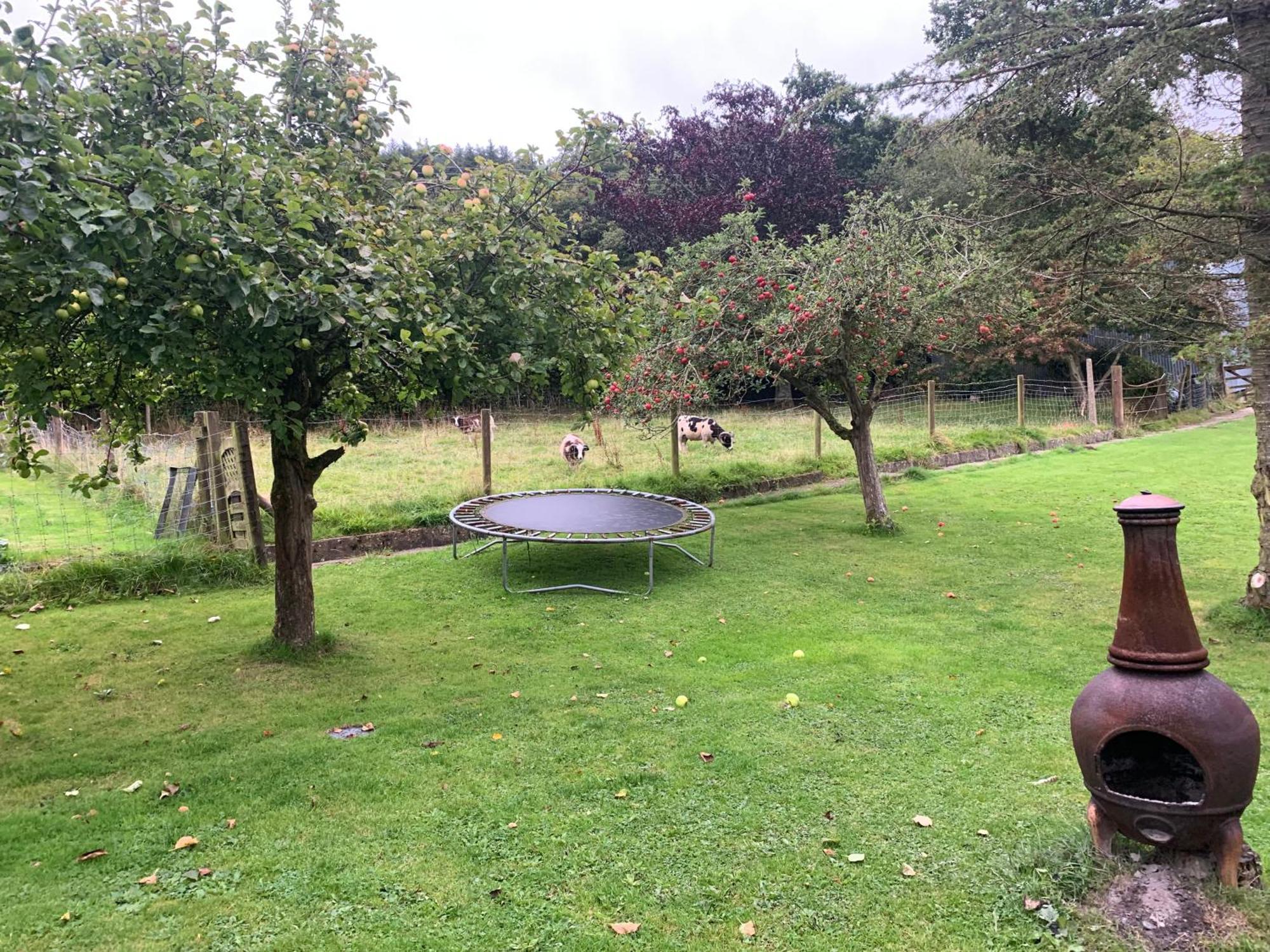 Stunning 2-Bed Cabin in Nantglyn Denbigh Exterior foto